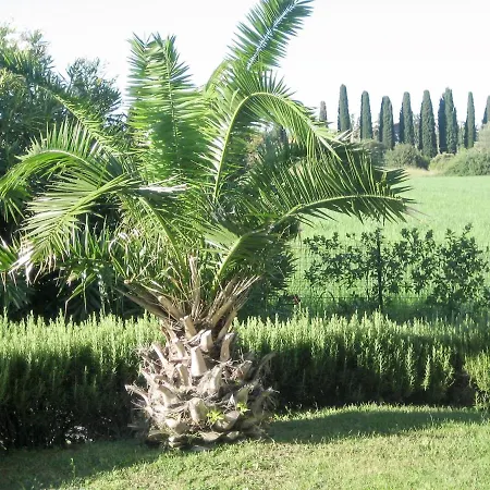 Appartamento Le Camelie 131s Lazise